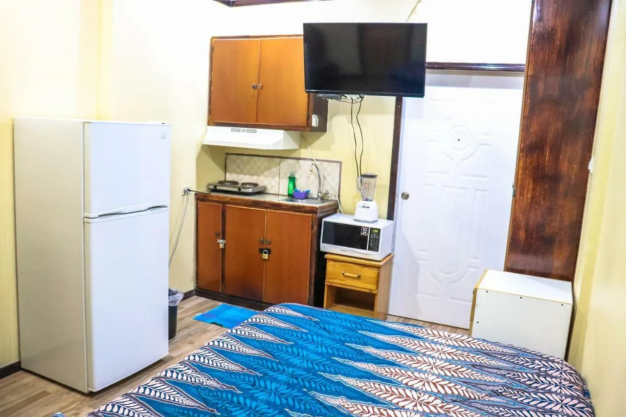 ゲストハウス Liam'S Guesthouse On The Avenue Port Of Spain